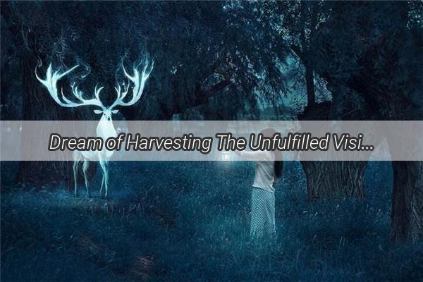 Dream of Harvesting The Unfulfilled Visions of a Gardeners Dream Garden